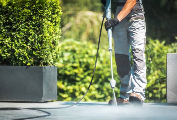 Best Roof Washing  in Mcsherrystown, PA
